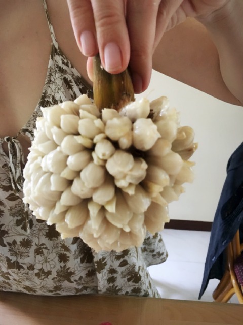 フルーツの王様ドリアンより美味しい?フィリピンの『マラン』を紹介